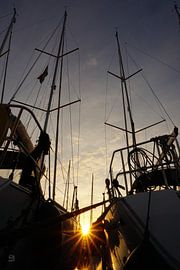 Backlight at 2 sailboats in the harbour.
