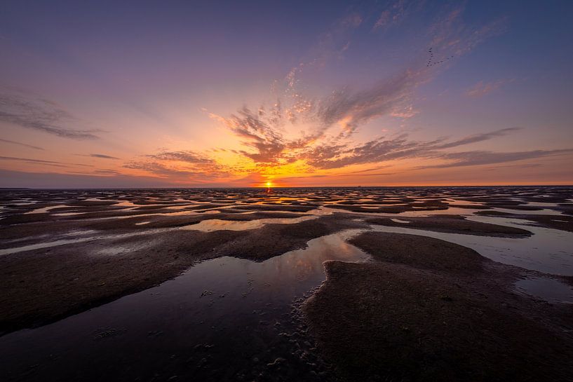Sunrise on the mudflats by Andy Luberti