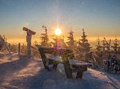 winterlicher Schneesturm auf dem Fichtelberg von Animaflora PicsStock Miniaturansicht