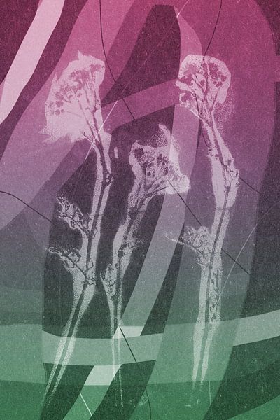 Flowers. Modern abstract botanical geometric art in pink and green by Dina Dankers