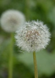Koninklijk paleis op de dam - Amsterdam van Made_ by_Sandy