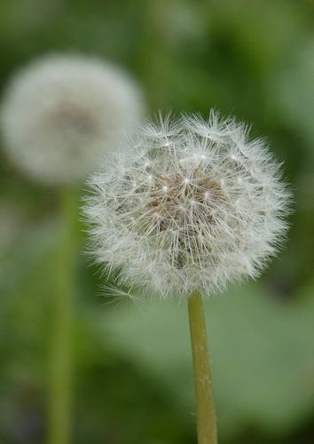 Koninklijk paleis op de dam - Amsterdam