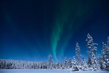 Noorderlicht in Fins Lapland van Anouk van Heumen