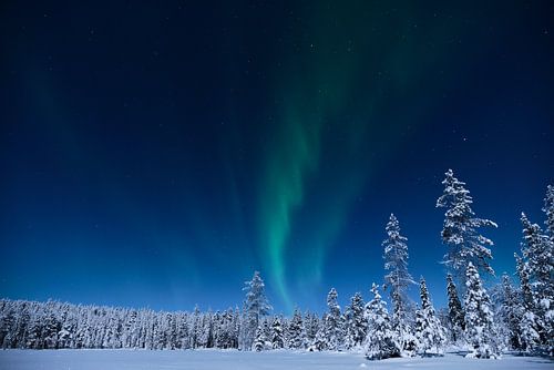 Noorderlicht in Fins Lapland