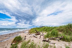 Der Weststrand auf dem Fischland-Darß