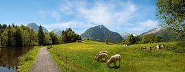 Idyllic hiking trail along the Moorseesl near Oberstdorf with B by SusaZoom