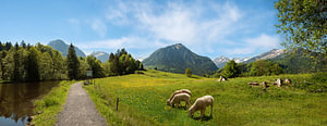 Wanderweg am Moorsee Oberstdorf