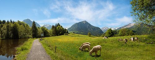 Idyllisch wandelpad langs de Moorseesl bij Oberstdorf met B