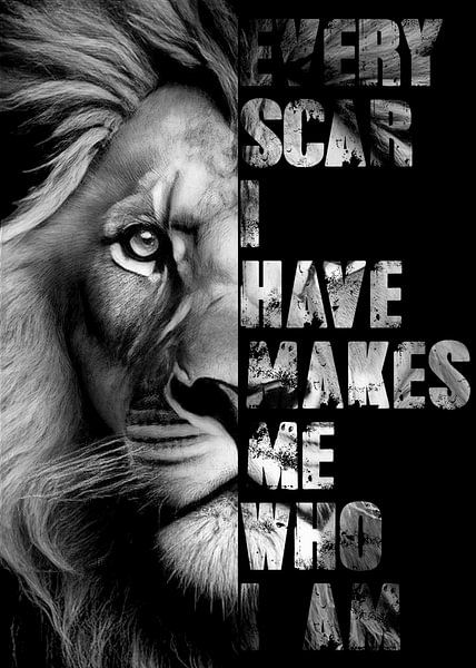 Lion quotes by XIAO AHKI