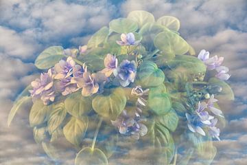 Bloemetjes in paars blauw met wolkenlucht van Lisette Rijkers