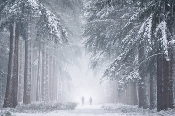Marche d'hiver