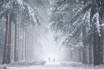 Winter Wandeling van Jeroen Schouten