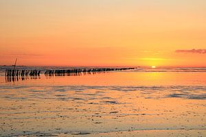 Trockenes Wattenmeer mit Pfählen.