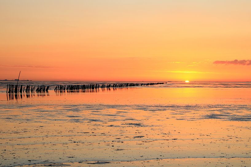 Trockenes Wattenmeer mit Pfählen. von FotoBob