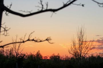 Zonsondergang Rosmalen van Martijn Aalbers