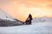 Husky-Schlitten über verschneiten Bergpass bei Sonnenaufgang von Martijn Smeets