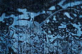 Kever van Johan Kalthof