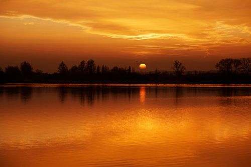 Haarrijnseplas, 18 janvier 2017 #2