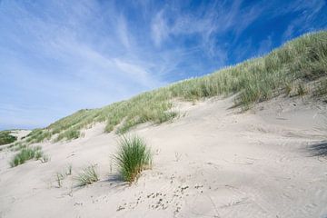 Summer in the dunes by Anja B. Schäfer