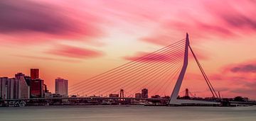 Colorful Rotterdam city skyline