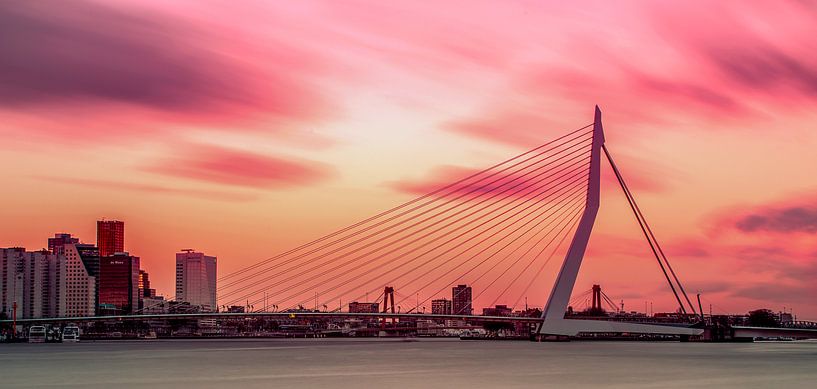 Ligne d'horizon colorée de Rotterdam par Miranda van Hulst