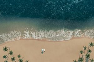Luchtfoto van het strand met palmbomen en een enkele strandligstoel met parasol van Besa Art