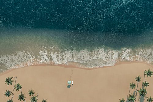 Luchtfoto van het strand met palmbomen en een enkele strandligstoel met parasol