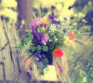 Wildblumen Gruß aus dem Sommer