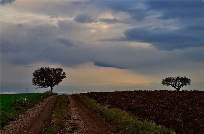 Les 2 arbres von Georges Rudolph