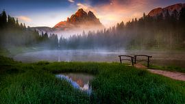 Antorno von Wim Denijs