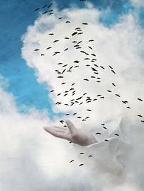 Der Vogelflug von Heike Hultsch