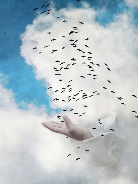 Der Vogelflug by Heike Hultsch