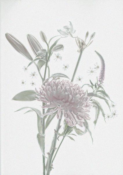 softcolor flowers by Franka vander Helm