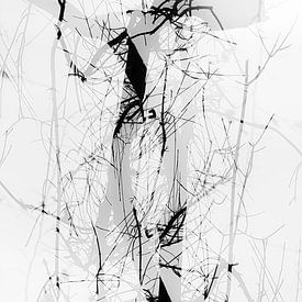natuur abstract van Ingrid Van Damme fotografie