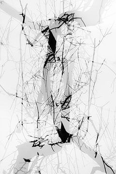 natuur abstract van Ingrid Van Damme fotografie