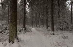 Kleiner Feldberg