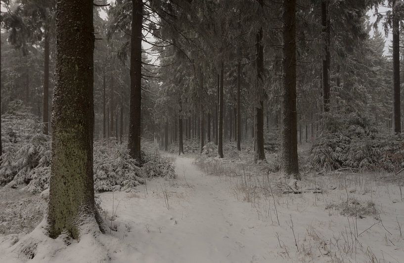Small Feldberg by Freedom Streaming Photography