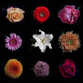 Collage flowers by Christianne Keijzer