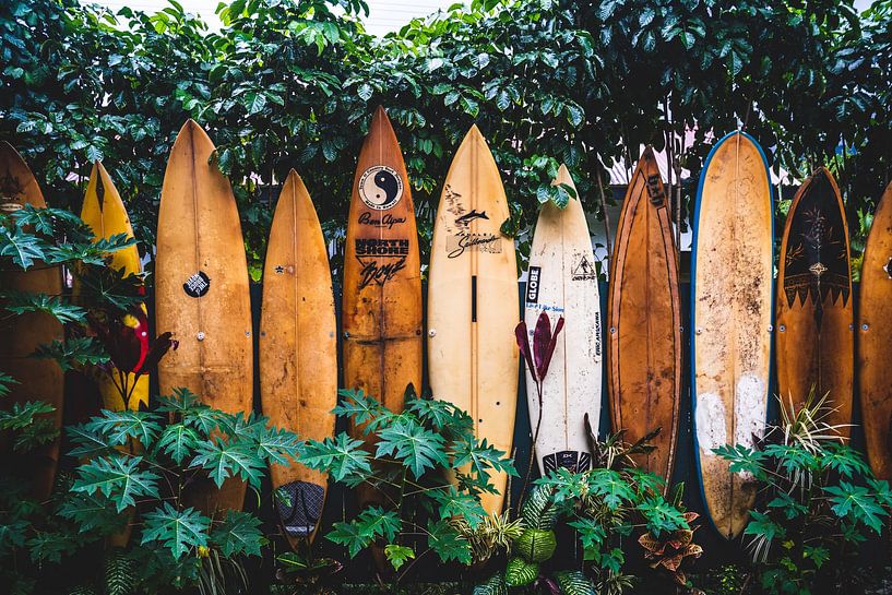 Hawaii by Hello Pompoyo