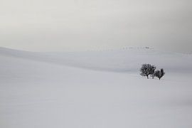 Sneeuw en bomen op een berg von Ymala Antonsen