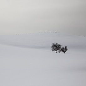 Sneeuw en bomen op een berg van Ymala Antonsen