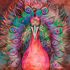 Japanischer Pfau