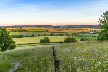 Zomer in de heuvels van Zuid-Limburg