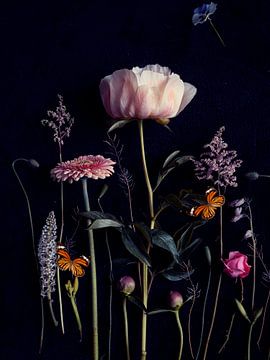 Blumenporträt (Pfingstrose) von Ineke VJ