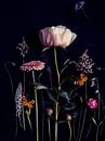 Blumenporträt (Pfingstrose) von Ineke VJ Miniaturansicht