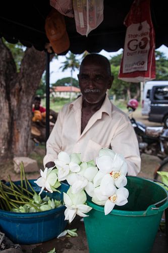 verkoper von Rony Coevoet