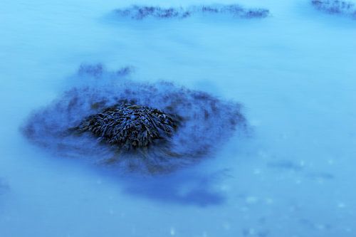 Serene rust in het koele water