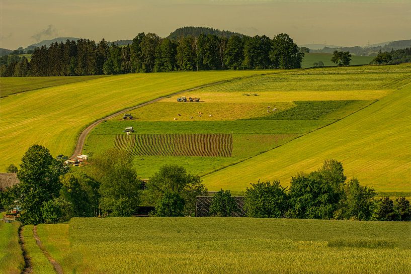 forest flowers field landscape Erzgebirge mountains towns cities villages by Johnny Flash