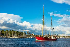 Segelschiffe auf der Hanse Sail in Rostock van Rico Ködder