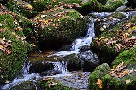 Bergstroom Zwarte Woud 1.3 van Ingo Laue